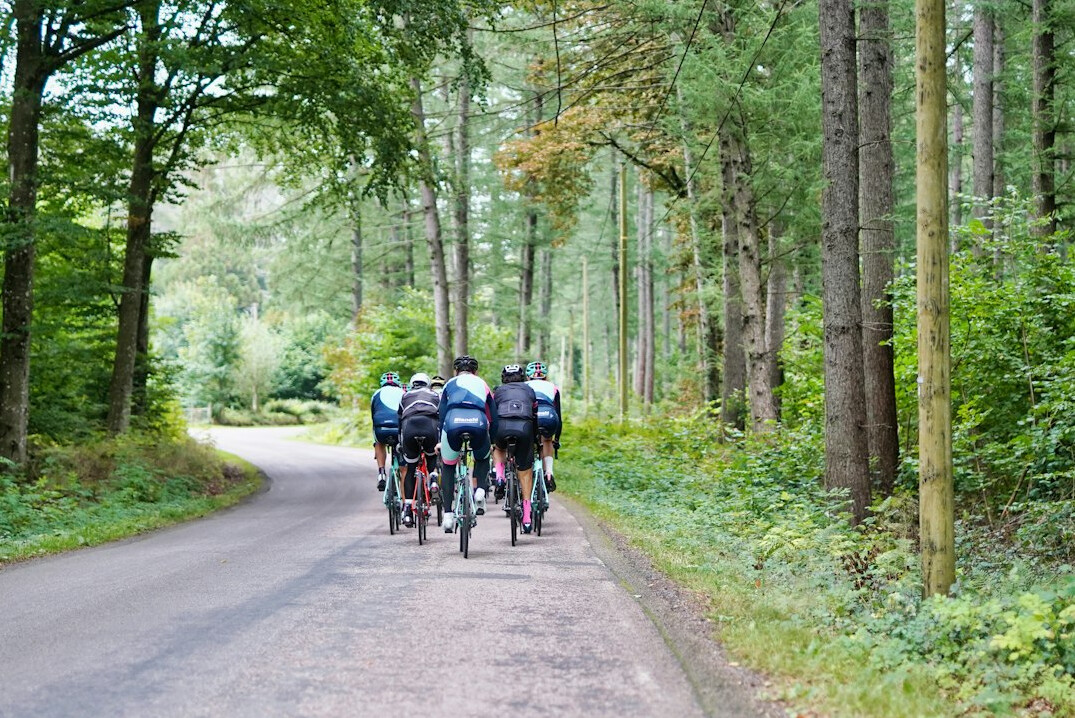 Group of cyclists riding on a road